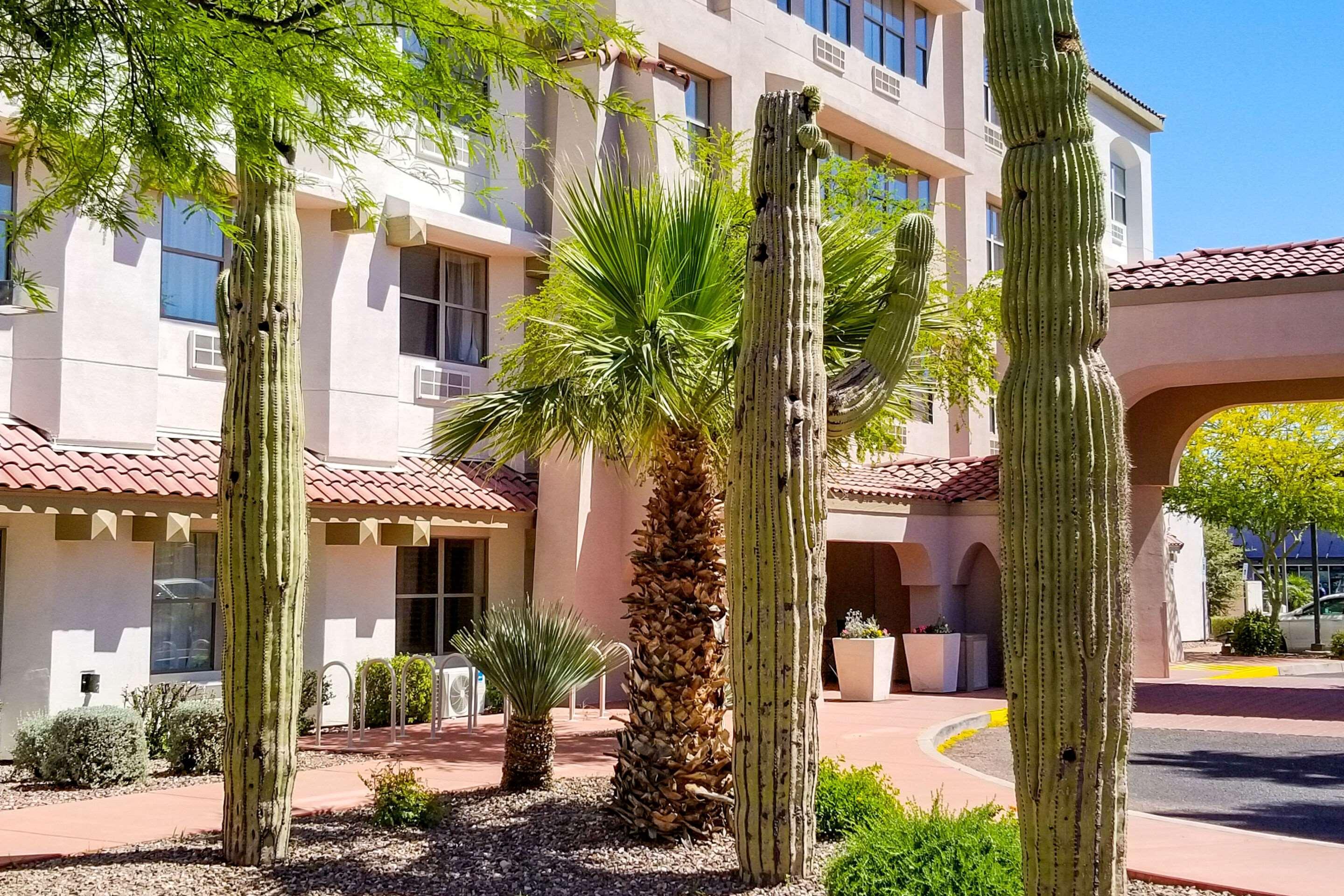 Comfort Inn & Suites Tempe Phoenix Sky Harbor Airport Exterior foto